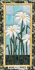 500C-62 Daises