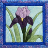 714 Iris