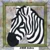 808 Zebra